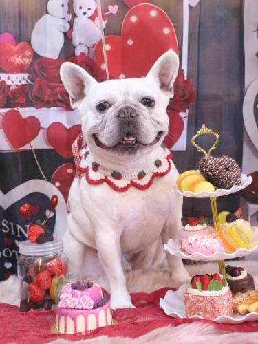 20250225ブーくん